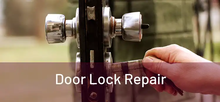 Door Lock Repair